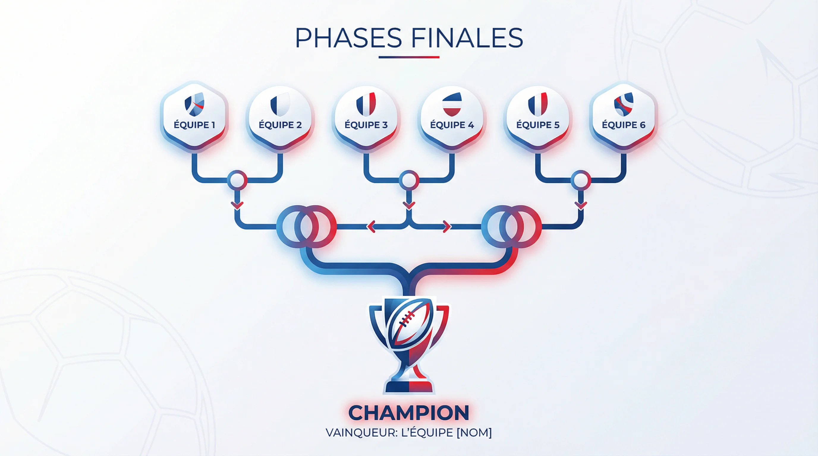 Format du Top 14 et phases finales du championnat de rugby
